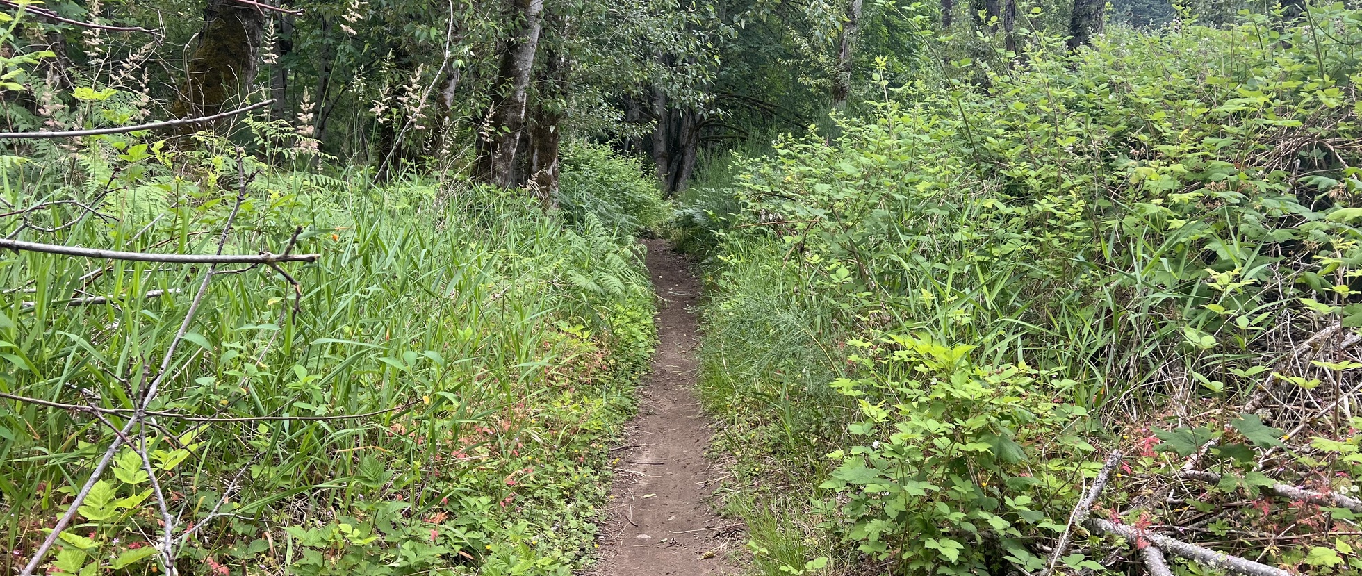 Carbonado Trail Work Party | October 17 | Carbonado